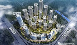 武汉白沙洲最新爆料,揭秘背后惊人真相